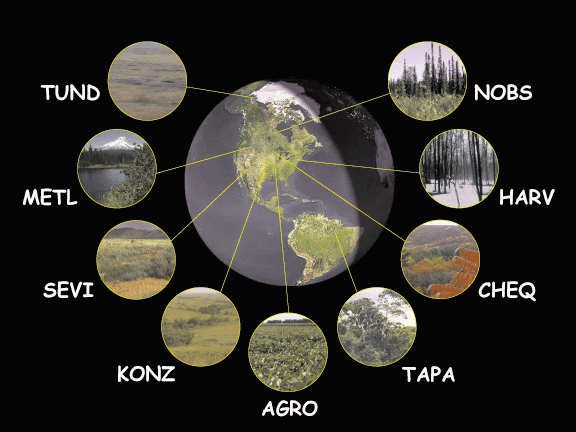 graphic showing small images of various Bigfoot sites
