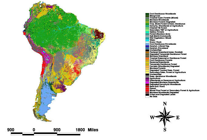 landcover map of south America