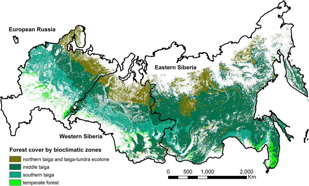 Bioclimate zones in Russia.