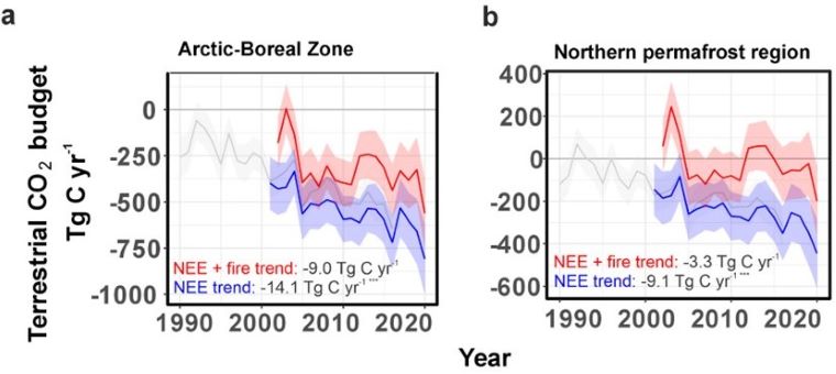 Time series of CO2 fluxes