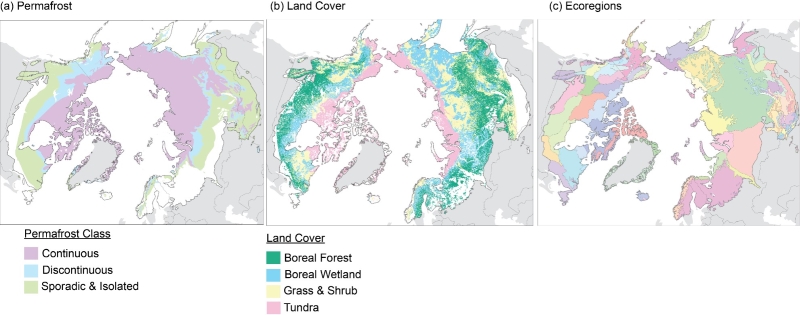 land cover, permafrost, ecoregion distributions