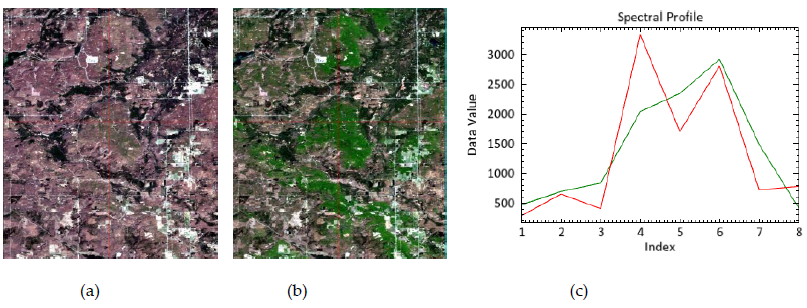Example of phenological difference