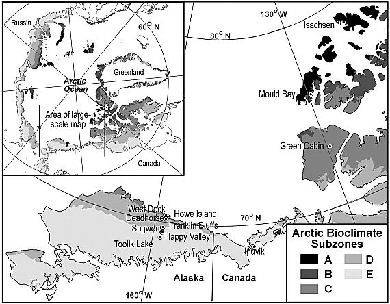 arctic tundra map black and white