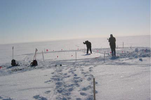 snow depth measurements taken at a site