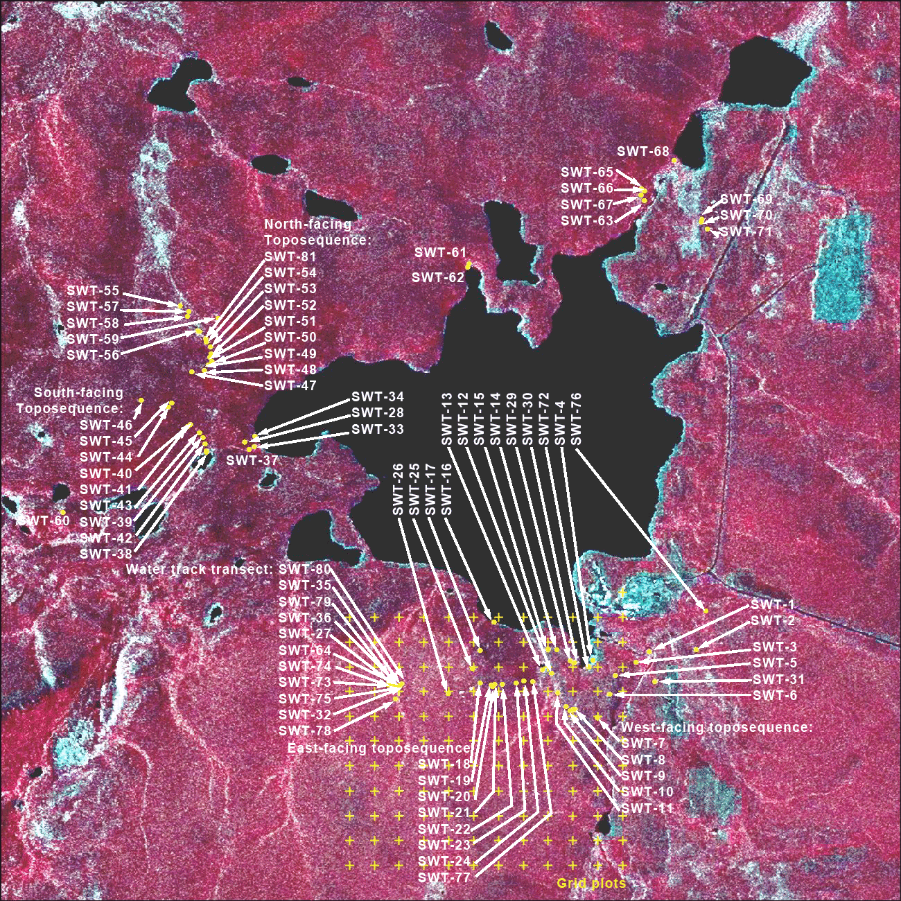 Location map of the 81 Toolik Lake Permanent Vegetation Plots