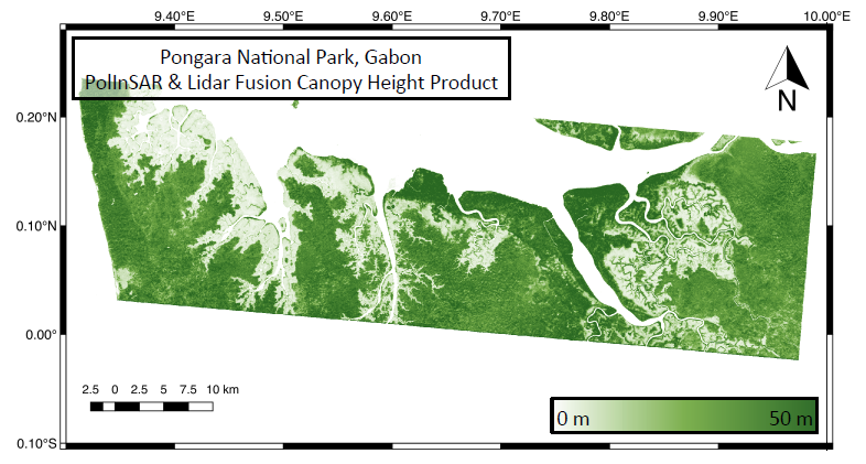 Canopy Height fusion
