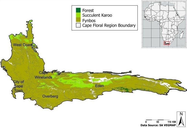 Distribution of shrubland, forest, and Karoo biomes in GCFR.