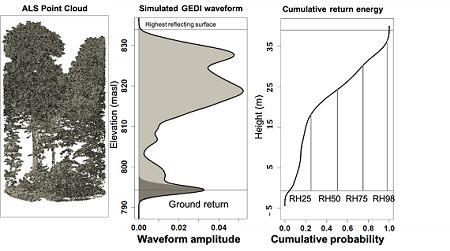 Relative height metrics