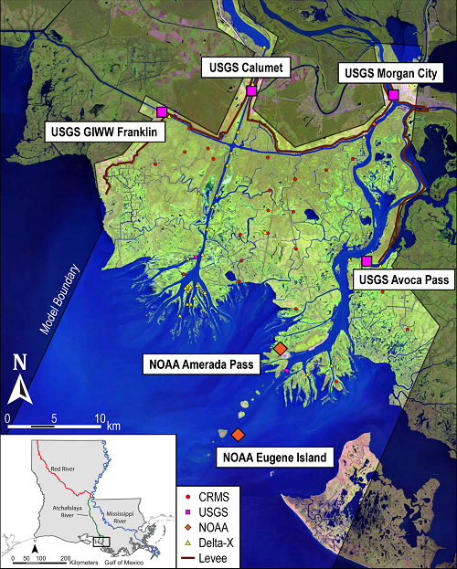 Boundary of the ANUGA model with in-situ gauges