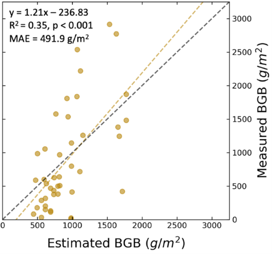 Delta-X: AVIRIS-NG L3 Derived Herbaceous Belowground Biomass, MRD, LA, USA