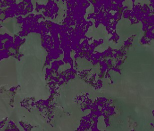 misclassified marsh pixels in Terrebonne