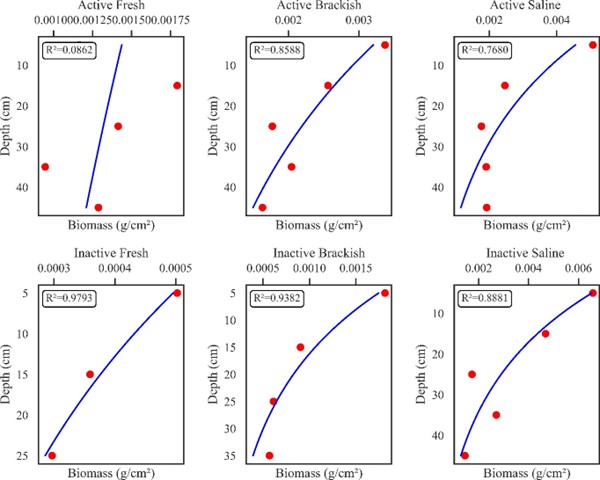 Root biomass and attenuation from surface