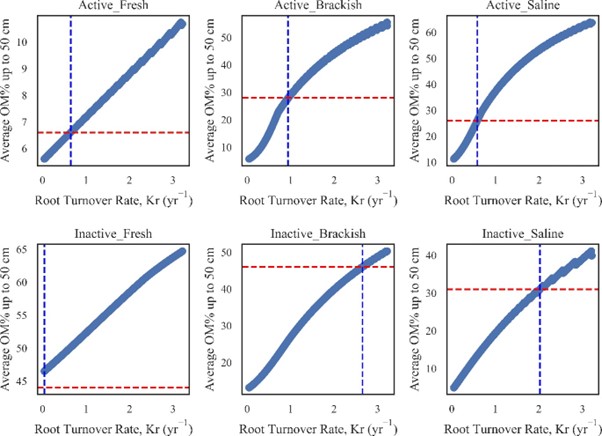 Estimating root turnover rates