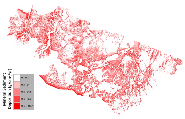 sediment deposition