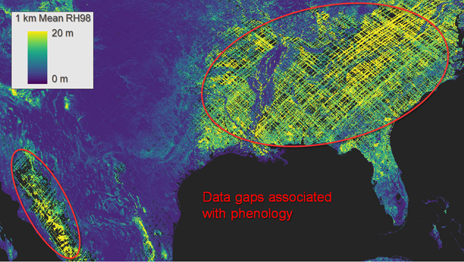 Figure 4. Examples of data gaps in mean GEDI RH98 from April 2019 to March 2023 gridded at 1 km. The gaps are the result of stringent quality filtering, phenology (leaf-off GEDI shots are excluded), coupled with ISS orbital geometry and cloud cover patterns. 