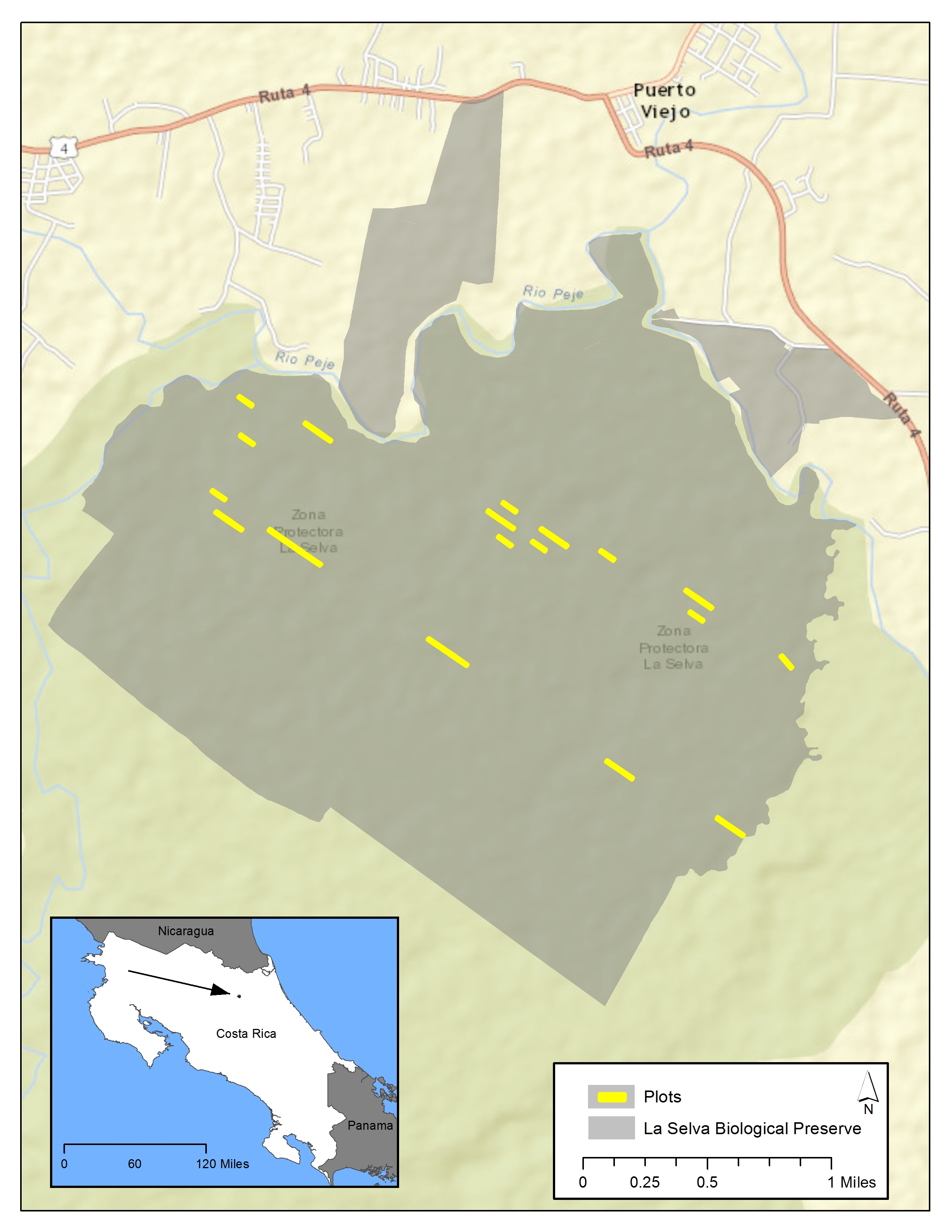 map of LaSelva plots