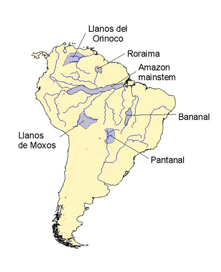 Lba Eco Lc 07 Monthly Inundated Areas Amazon Orinoco And