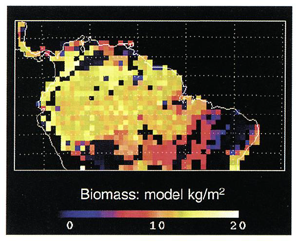Biomass model