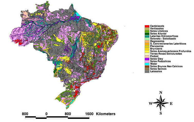 LBA ECO LC 08 Soil  Vegetation and Land Cover Maps  for 