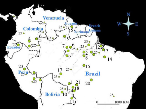 Biomass Plots in the Amazon Basin