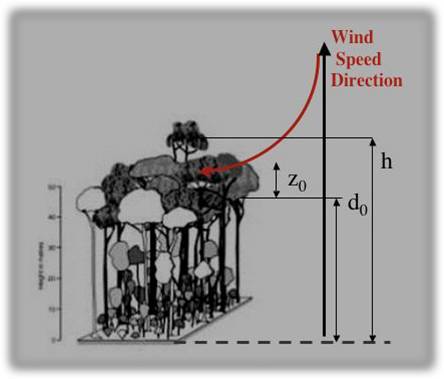 diagram of wind speed over canopy
