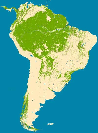 MODIS MAP of forest coverage South America 2001