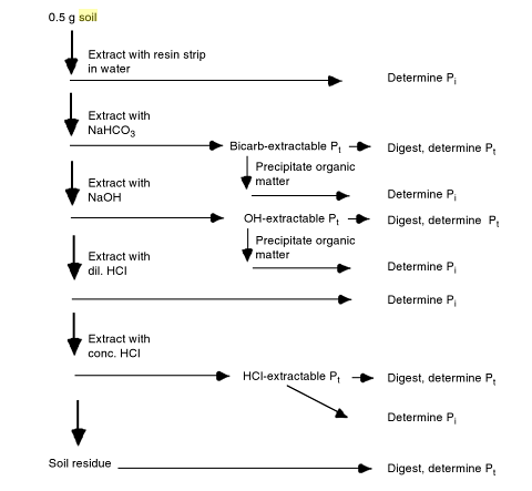 diagram of hedley process