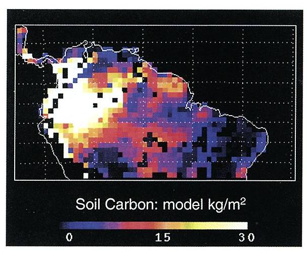 soil carbon