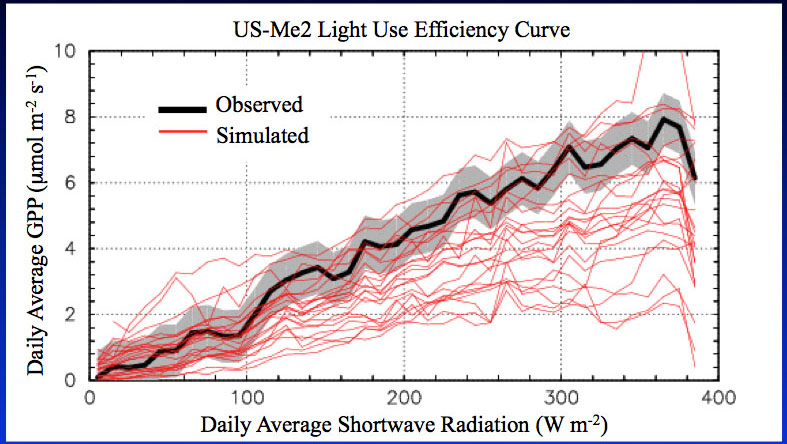 light use efficiency curve