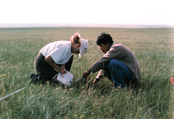 Measurements at Xilingol Grassland Site