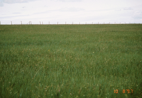 Exclosure at Xilingol Grassland Site