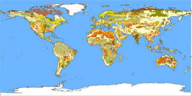 Global Soil Types