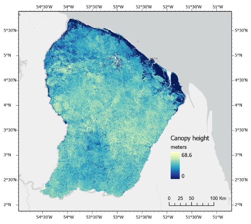 Canopy height, French Guiana