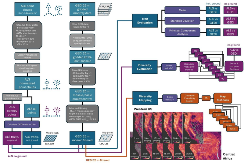 Workflow diagram