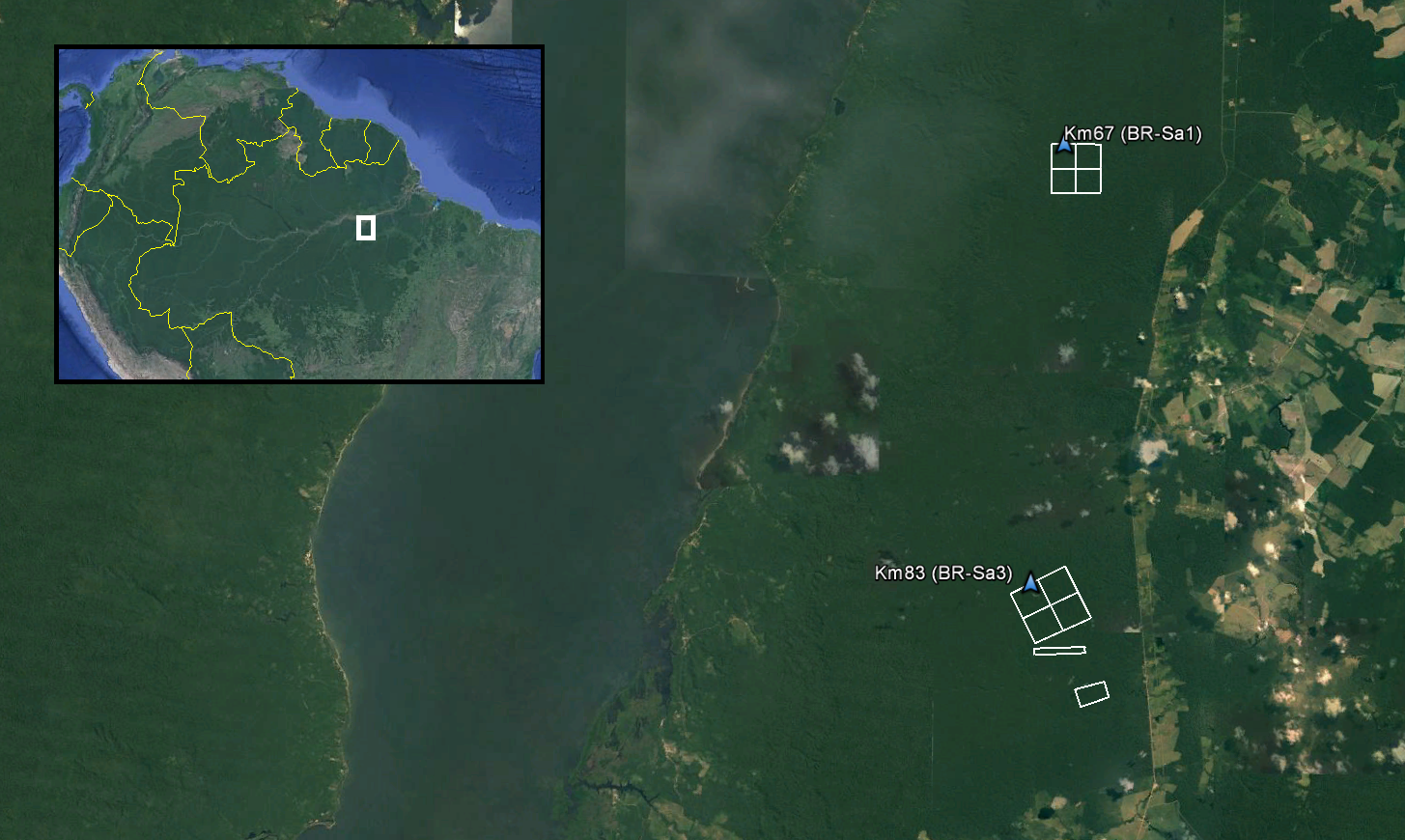 Footprints from each of the surveyed areas within Tapajos National Forest in Para, Brazil are included in TAP_A_footprints.shp. The Km67 and Km83 eddy flux towers (AmeriFlux Sites BR-Sa1 and BR-Sa3) are within the surveyed areas.