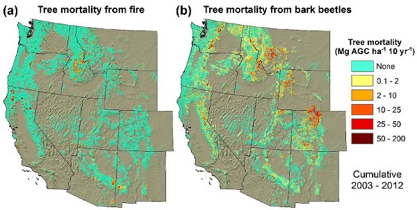 Tree Mortality from Fires and Bark Beetles at 1-km Resolution, Western ...