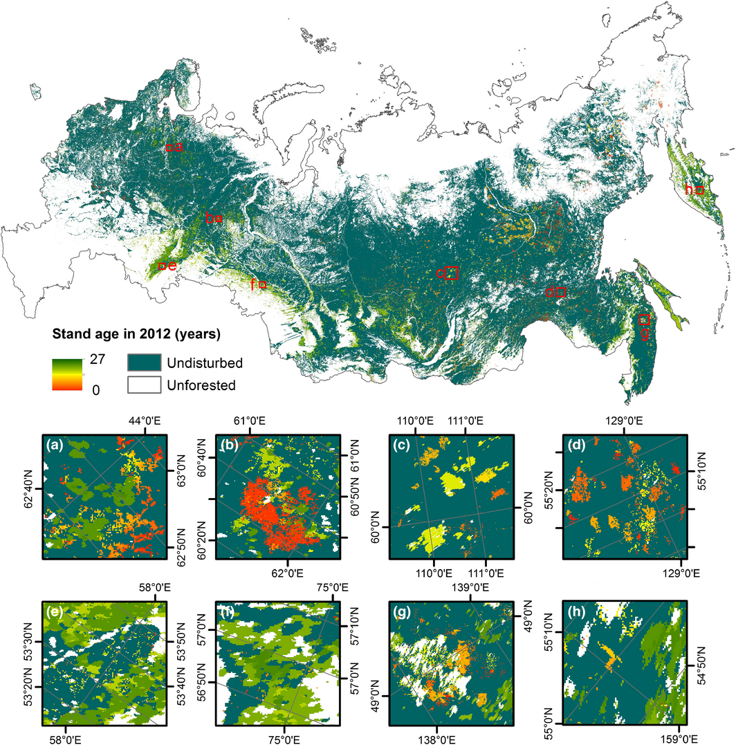 Siberia Forest Map
