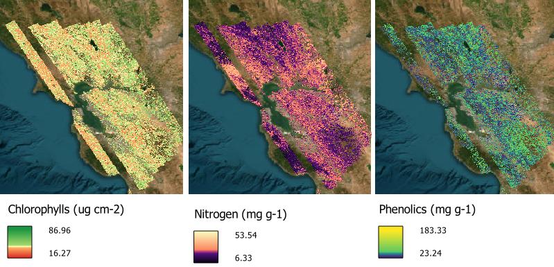 Example foliar concentrations of chlorophyll, nitrogen, phenolics